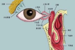 从“沟通碰壁”到“精准诊疗”长春普瑞眼科医院为聋哑患者点亮就医希望，让无声世界重见“睛”彩