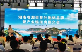 湘西茶叶地标品牌闪耀长春农博会 跨区域合作共拓新未来